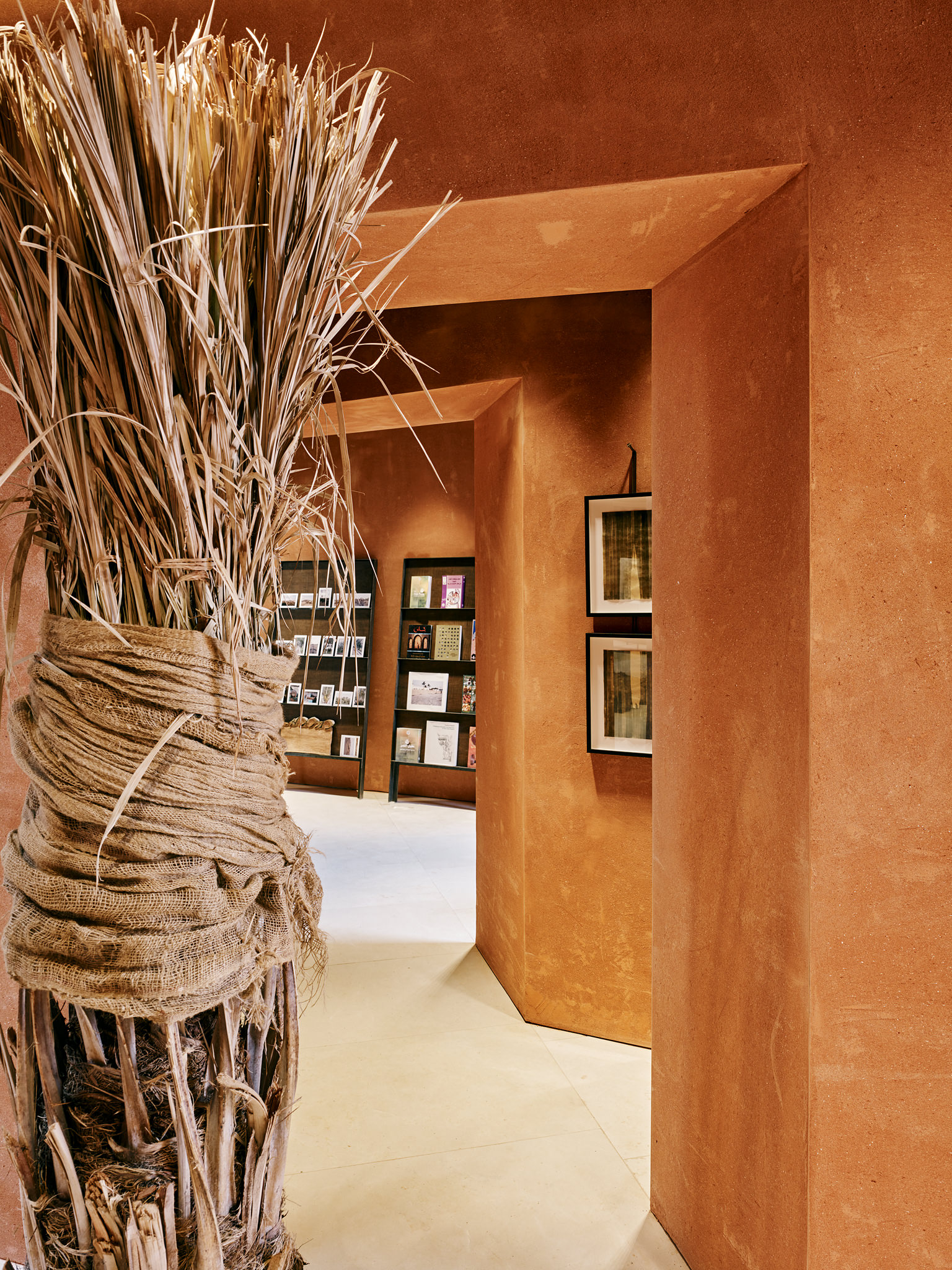 E15547 Alpa 050312 SCREEN